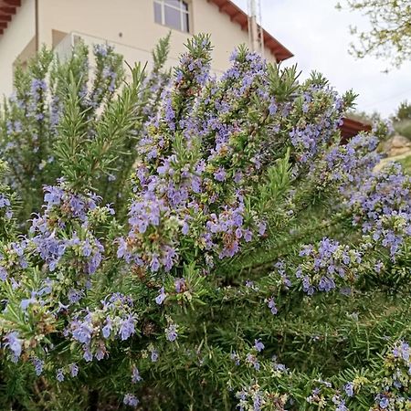 שאקה B&B Tenute Lazzarino מראה חיצוני תמונה