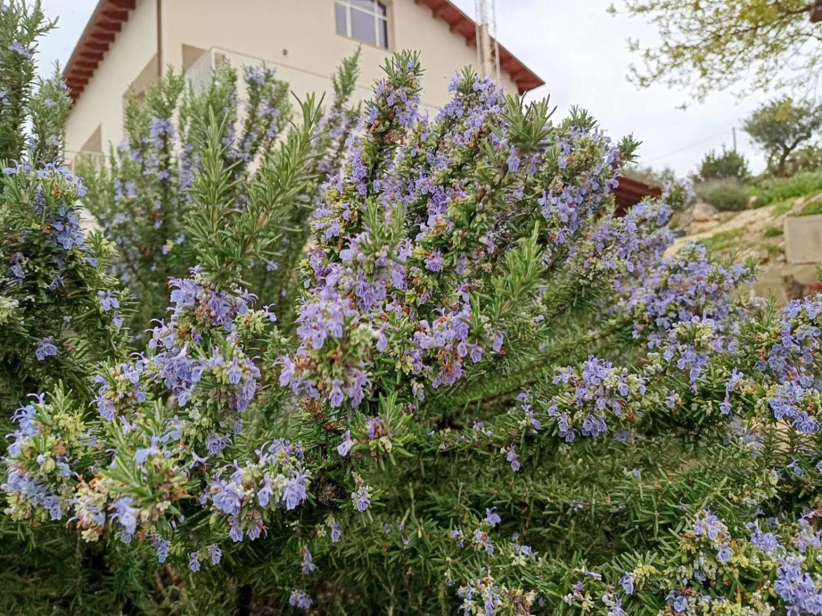 שאקה B&B Tenute Lazzarino מראה חיצוני תמונה